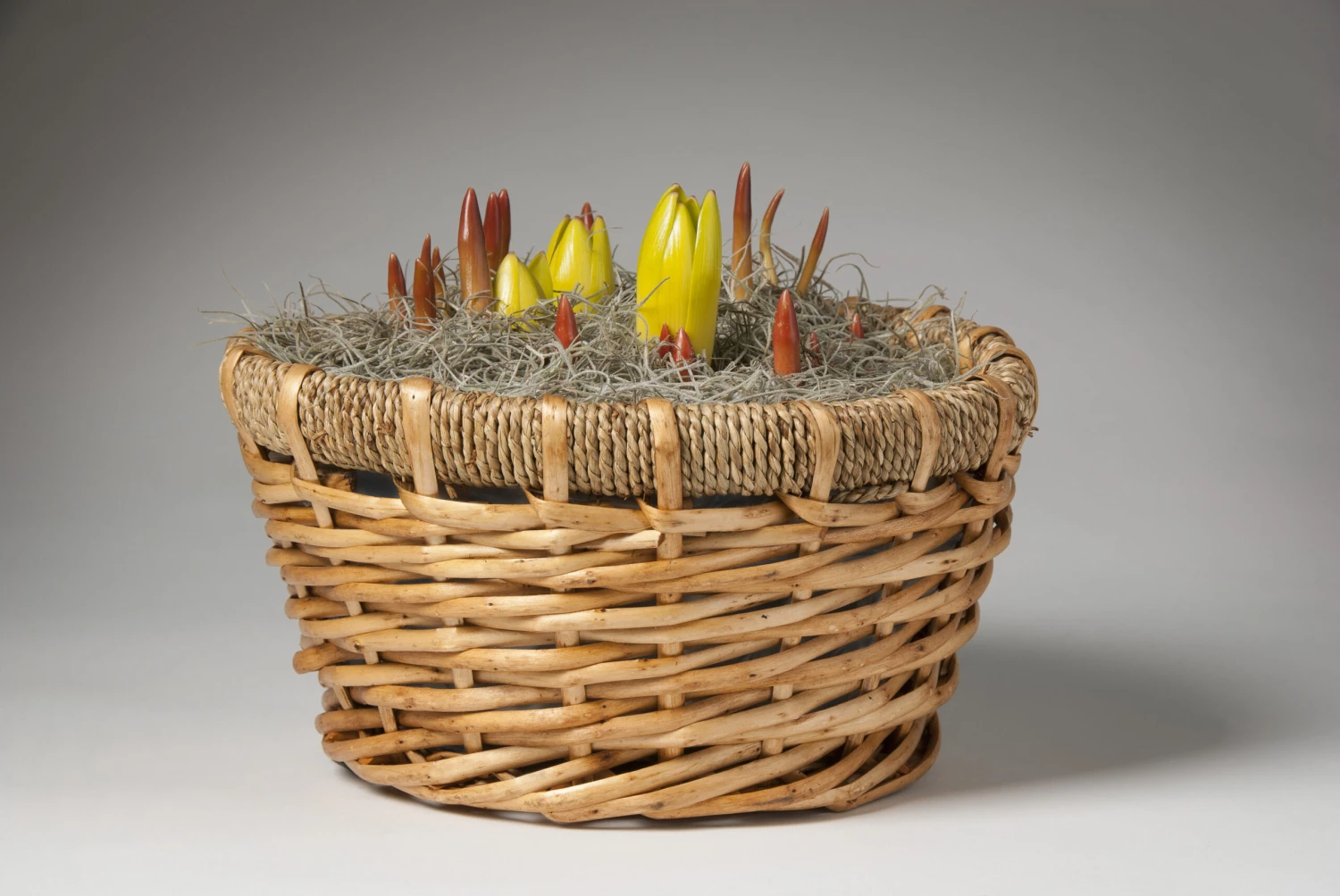 Menu Love & Adoration Potted Bulb Garden 4 Menu Love & Adoration Potted Bulb Garden - Image 2