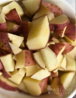 Menu Container/Small Space Vegetable Garden -Outlet Holland Bulb Farms Store 75102 red la soda seed potatoes 1