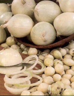 Menu Large Vegetable Garden Collection -Outlet Holland Bulb Farms Store 75133 large vegetable garden 7