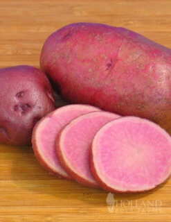Menu Adirondack Red Potato