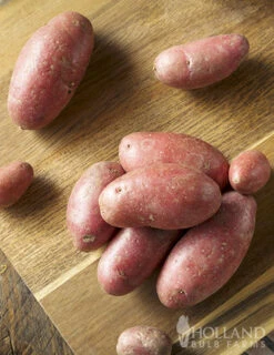 Menu Red Thumb Fingerling Potato