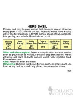 Menu Beginner Vegetable Garden Collection -Outlet Holland Bulb Farms Store 75505 sweet basil back