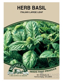 Menu Beginner Vegetable Garden Collection -Outlet Holland Bulb Farms Store 75505 sweet basil front