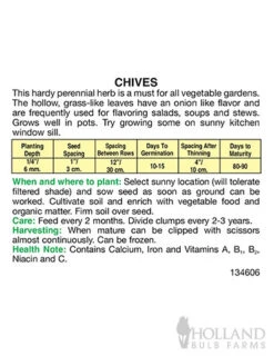 Menu Container/Small Space Vegetable Garden -Outlet Holland Bulb Farms Store 75506 chives back 1