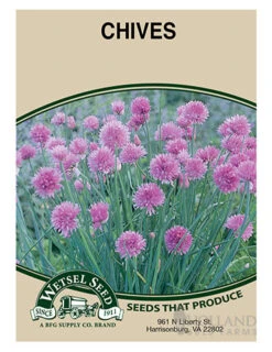 Menu Beginner Vegetable Garden Collection -Outlet Holland Bulb Farms Store 75506 chives front