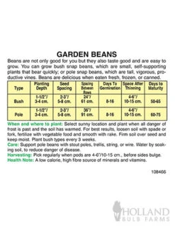 Menu Beginner Vegetable Garden Collection -Outlet Holland Bulb Farms Store 75513 white half runner beans back