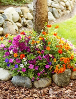 Menu Sun And Shade Tree Ring Seed Mat Collection -Outlet Holland Bulb Farms Store 75700 sunny tree ring