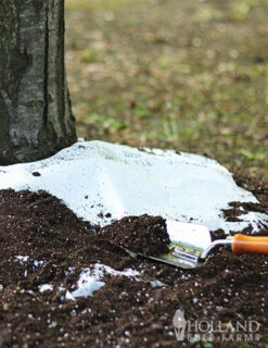 Menu Sun And Shade Tree Ring Seed Mat Collection -Outlet Holland Bulb Farms Store 75702 shady tree ring 2