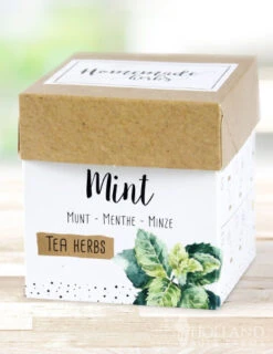 Menu Homemade Herb Kit- Relax Mix Tea Herbs -Outlet Holland Bulb Farms Store 75718 mint 2