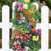 Menu Hummingbird Vertical Garden -Outlet Holland Bulb Farms Store 75727 vertical hummingbird garden 2 1