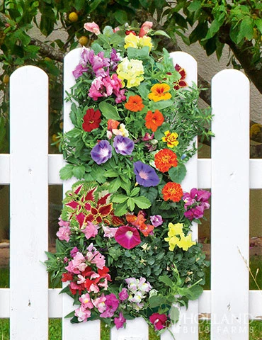 Menu Hummingbird Vertical Garden -Outlet Holland Bulb Farms Store 75727 vertical hummingbird garden 2 1