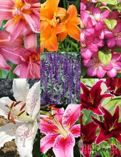 Menu Welcome To Our Home Garden Collection