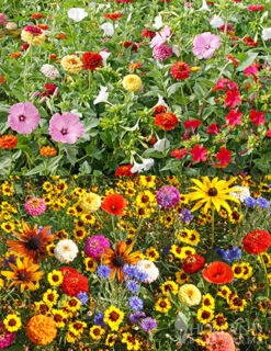 Menu Children's Garden And Cottage Garden Seed Mat Duo