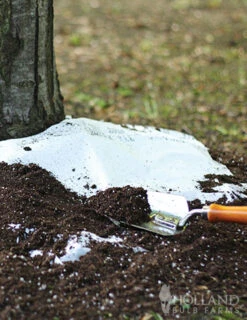 Menu Sun And Shade Tree Ring Seed Mat Collection -Outlet Holland Bulb Farms Store 79210 sunny tree ring garden shady tree ring garden 2