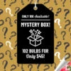 Menu Mega Mystery Mixed Summer Box -Outlet Holland Bulb Farms Store 79243 mystery box 24