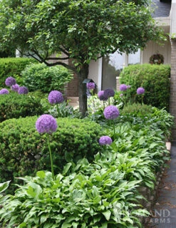 Menu Regal Gold Duo Collection -Outlet Holland Bulb Farms Store 81111 3