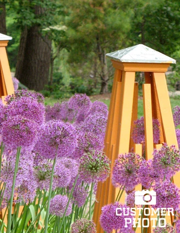 Menu 90 Days Of Spring Flowers Garden Kit 17 Menu 90 Days Of Spring Flowers Garden Kit - Image 15