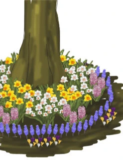 Menu Under The Tree And Blooming Collection 20 Menu Under The Tree And Blooming Collection -Outlet Holland Bulb Farms Store 89114 under the tree blooming collection 3