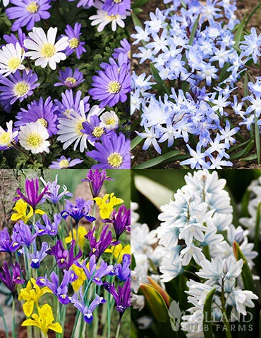 Menu Rock Garden Delight 3 Menu Rock Garden Delight