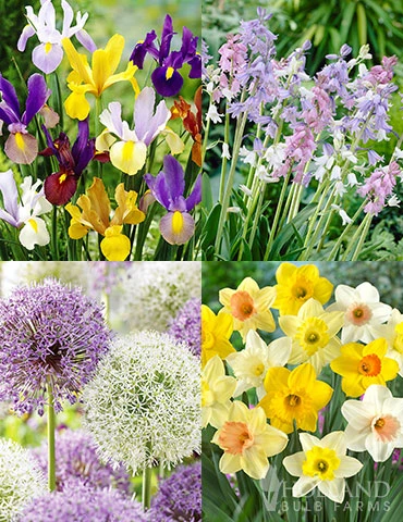 Menu Simple Deer Resistant Garden Collection 3 Menu Simple Deer Resistant Garden Collection