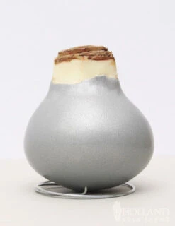 Outlet Holland Bulb Farms Store -Outlet Holland Bulb Farms Store 92166 silver wax amaryllis