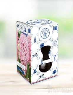 Menu Hyacinth Forcing Kit Collection -Outlet Holland Bulb Farms Store 93107 fondant hyacinth
