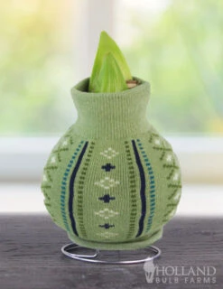 Menu Warm Wishes Sweater Amaryllis Collection -Outlet Holland Bulb Farms Store Cardigan 370 480 bulbs logo 1