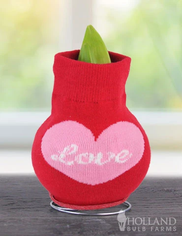 Menu Loving Heart Sweater Amaryllis 4 Menu Loving Heart Sweater Amaryllis - Image 2