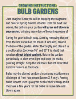 Outlet Holland Bulb Farms Store -Outlet Holland Bulb Farms Store living gardens instructions 2